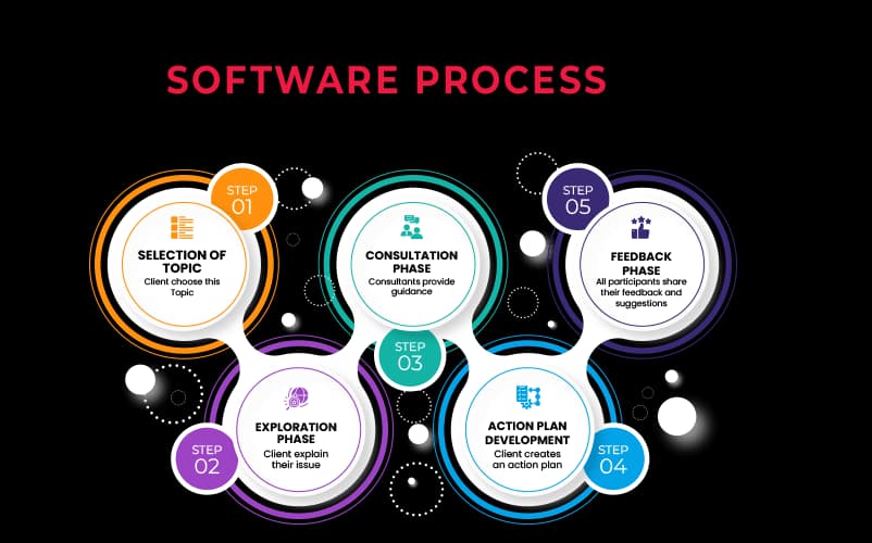 How co development software process work